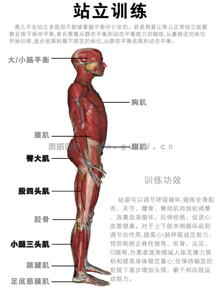 站姿.jpg